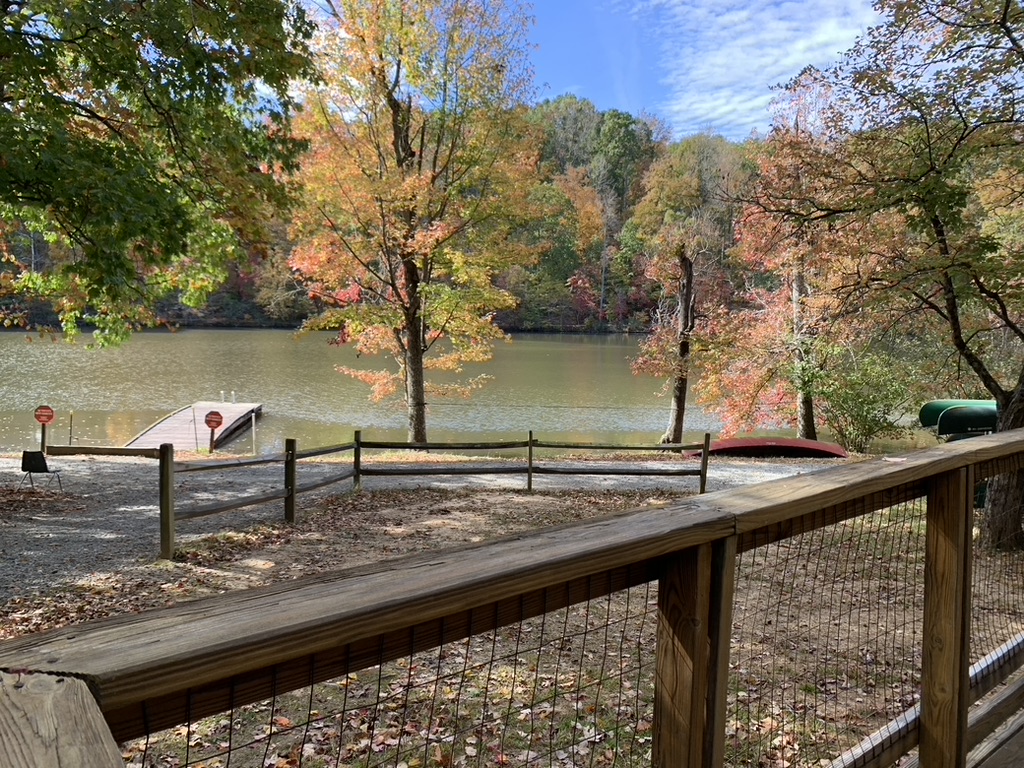 Lake trees